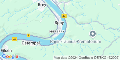 Spay